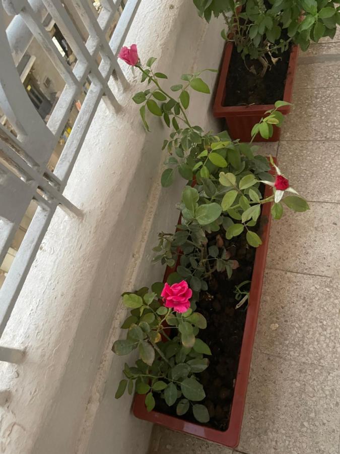 Central Cairo Hotel エクステリア 写真